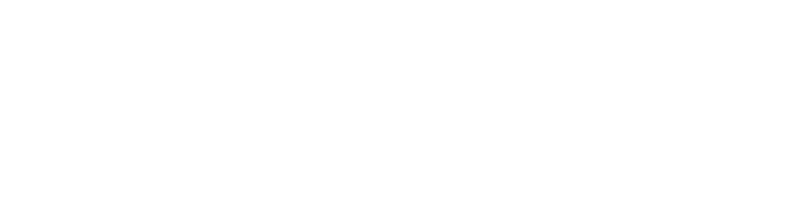 DiligenTi